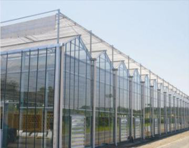 聯系憶田園|四川憶田園農業科技有限公司