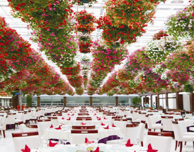 聯系憶田園|四川憶田園農業科技有限公司