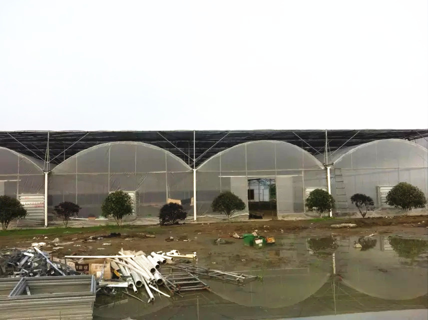 聯系憶田園|四川憶田園農業科技有限公司