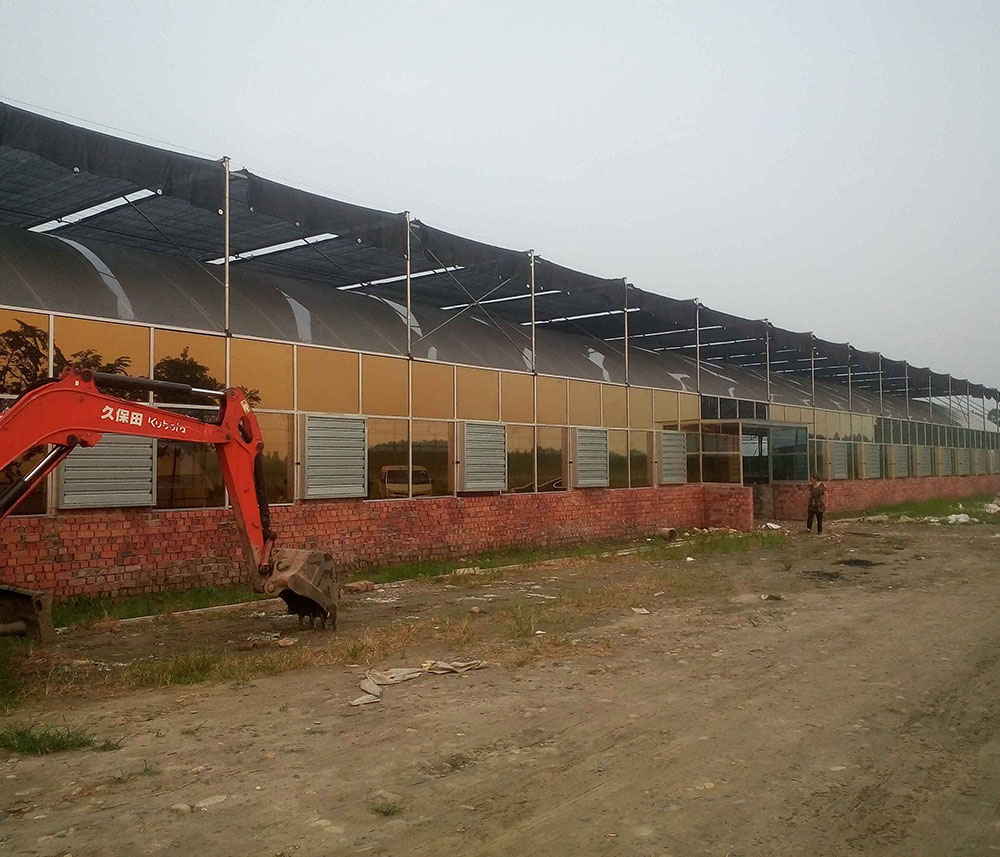 雙流彭鎮大棚案例