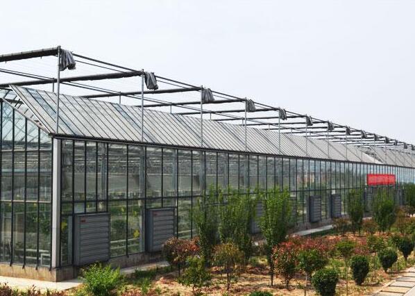 四川玻璃大棚