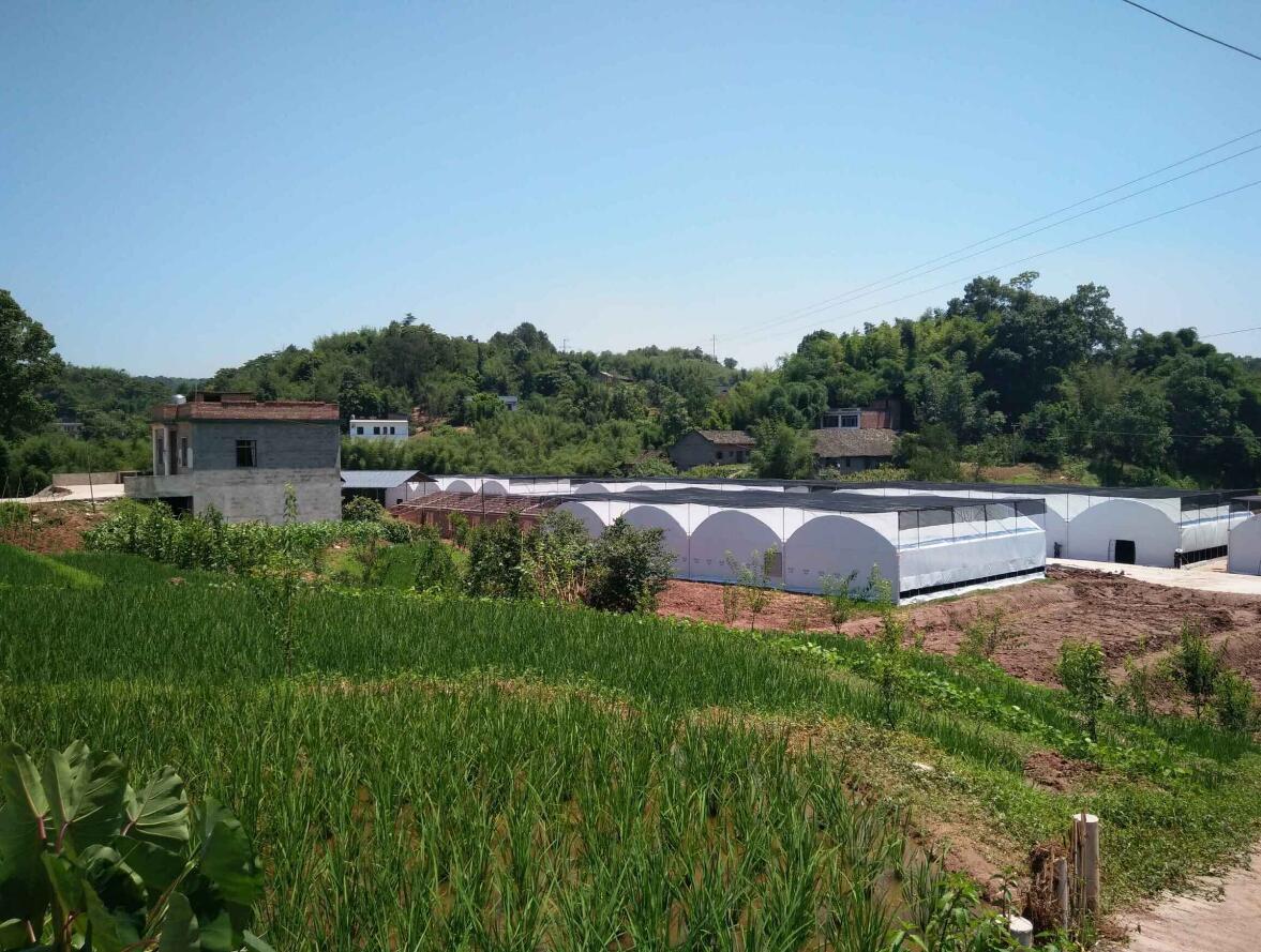 聯系憶田園|四川憶田園農業科技有限公司