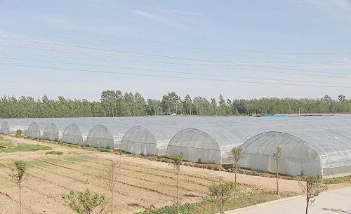 成都溫室大棚搭建