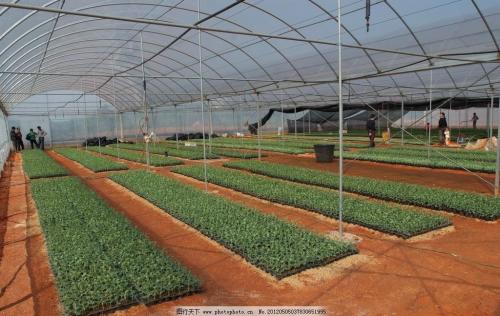 成都溫室大棚安裝